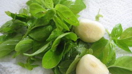 маринованные перчики чили