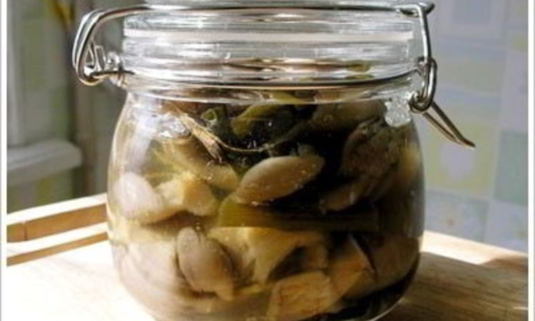 Рецепт маринованных вешенок в мультиварке