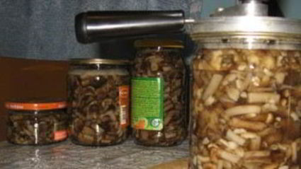 маринованные вешенки в мультиварке