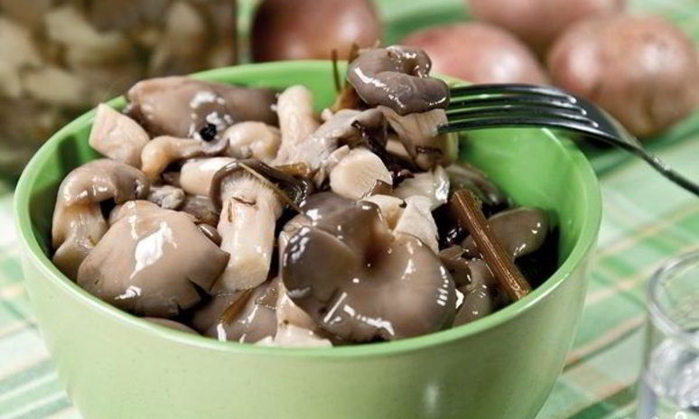 Рецепт маринованных вешенок за сутки