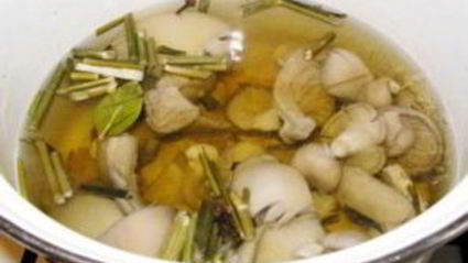 маринованные вешенки за сутки