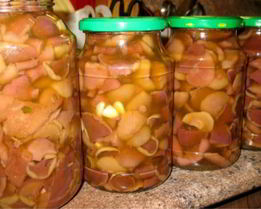 Моховики маринованные