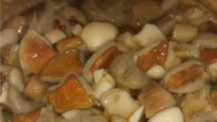 моховики маринованные