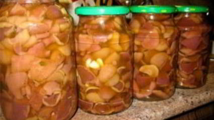 моховики маринованные