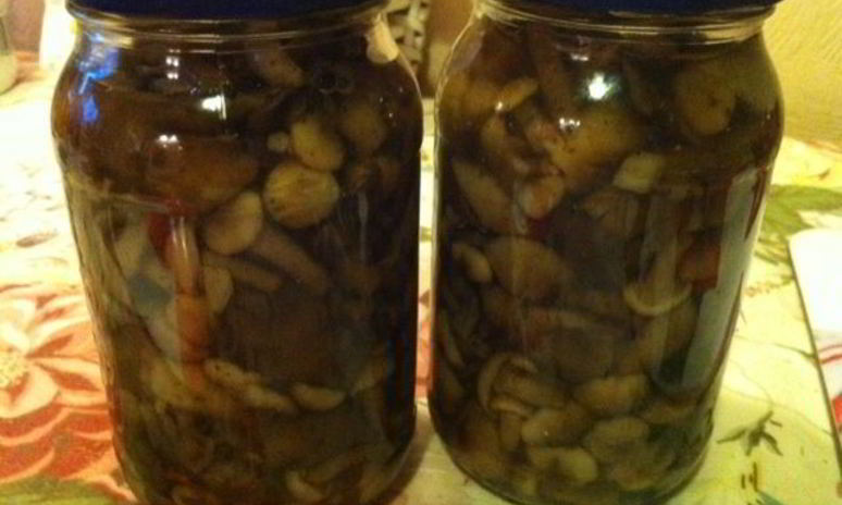 Рецепт опят маринованных на зиму