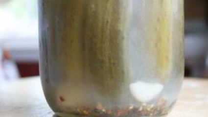 сладкие маринованные огурцы на зиму