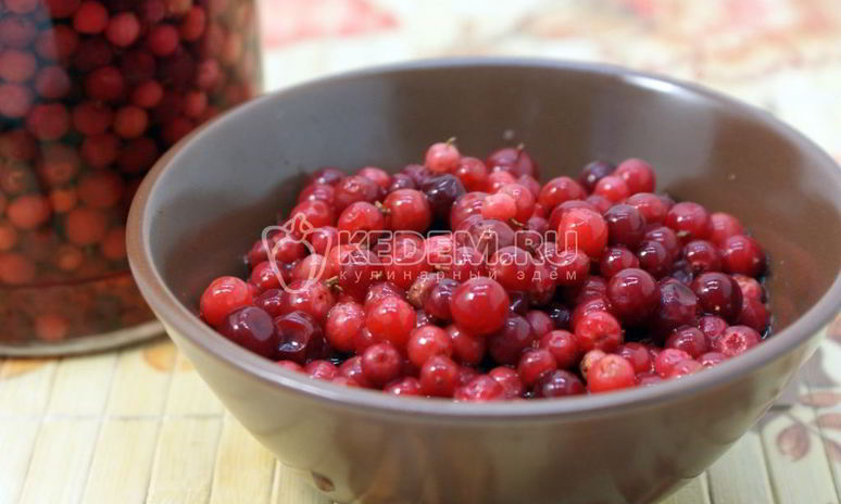 Рецепт моченой брусники на зиму