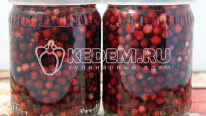 моченая брусника на зиму