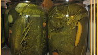 Огурцы по-польски на зиму