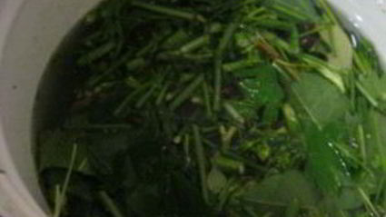 острые огурчики на зиму