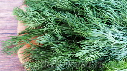 овощная приправа