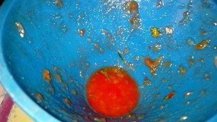 приправа из помидоров и перца болгарского