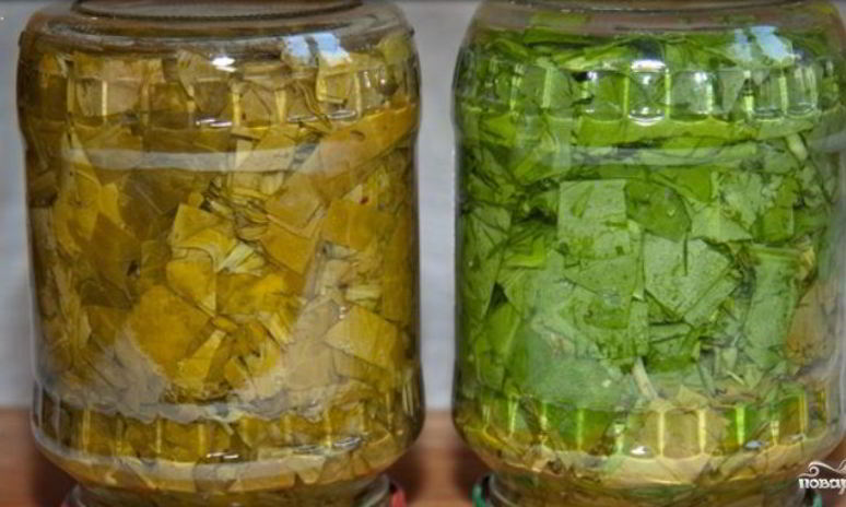 Рецепт щавеля на зиму в банках