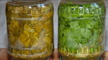 щавель на зиму в банках