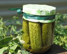 Малосольные огурчики на зиму