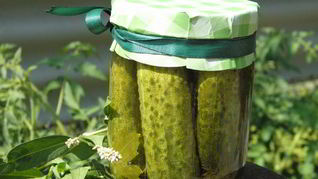 Малосольные огурчики на зиму