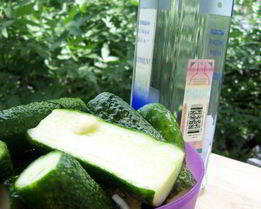 Малосольные огурчики в пакете