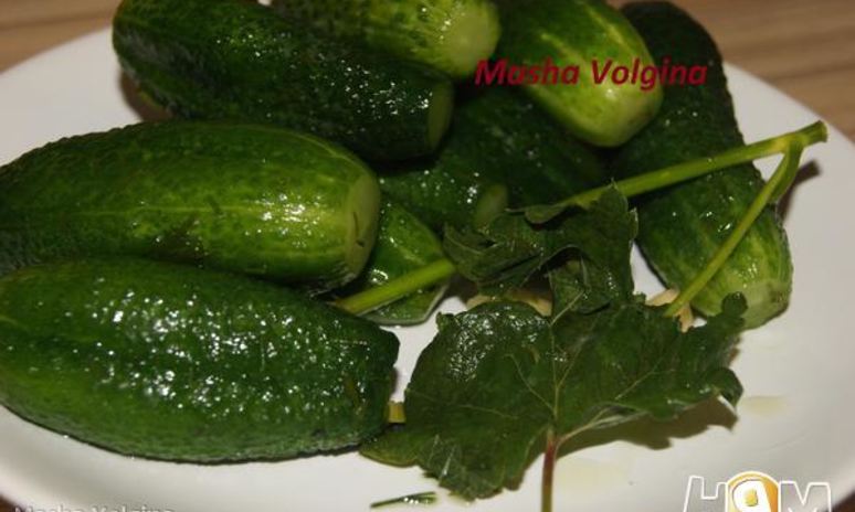 Рецепт малосольных огурчиков