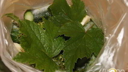 малосольные огурчики