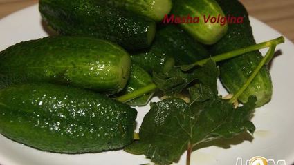 малосольные огурчики