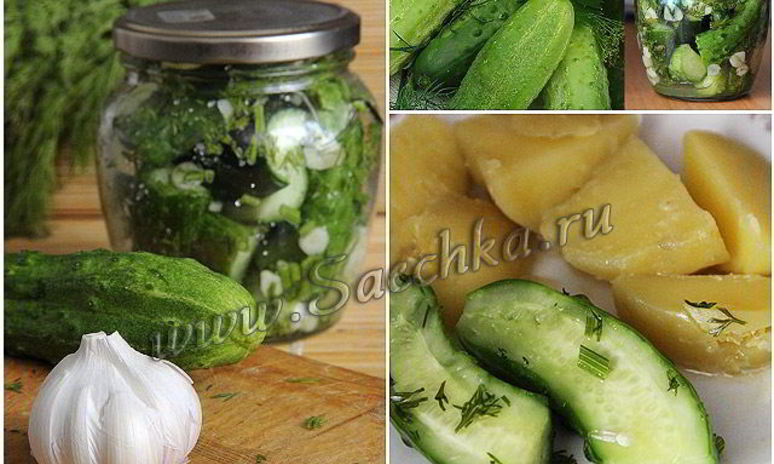 Рецепт малосольных огурцов в банке за 30 минут