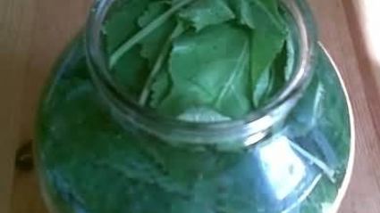 малосольные огурцы