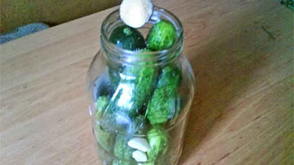 огурцы малосольные