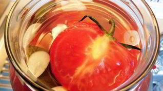 Помидоры малосольные за 2 дня