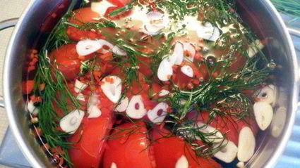 помидоры малосольные за 2 дня