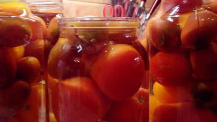 помидоры в собственном соку