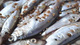 Салака пряного посола