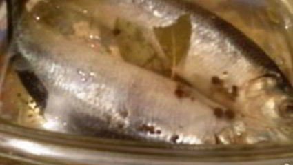 салака пряного посола