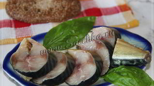 Соленая скумбрия