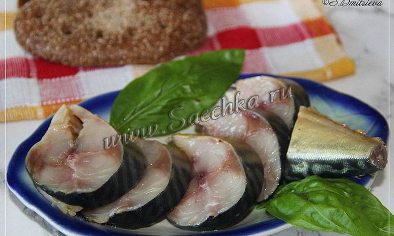 Рецепт соленой скумбрии