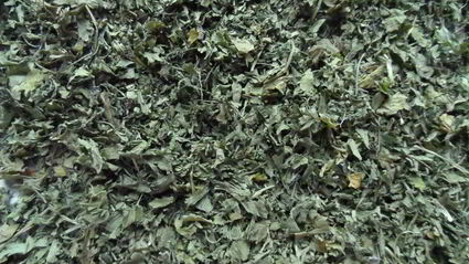 сушеная зелень на зиму