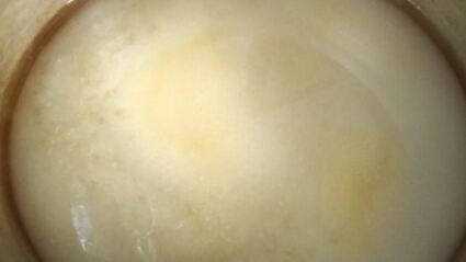 апельсиновые цукаты в сиропе