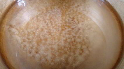 апельсиновые цукаты в сиропе