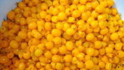 густое варенье из облепихи