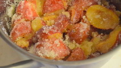 медовые оладушки с домашним сливовым вареньем