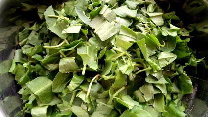 щавелевое варенье