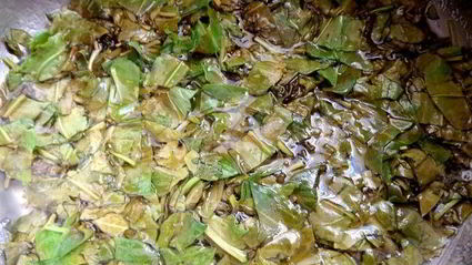 щавелевое варенье