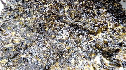 щавелевое варенье