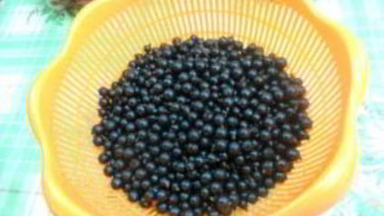 варенье из белой смородины без варки