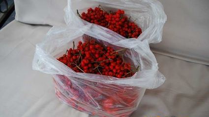 варенье из красной рябины