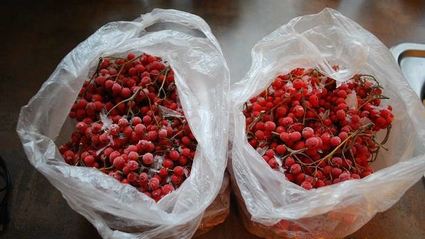 варенье из красной рябины