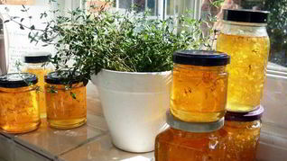 Варенье из одуванчиков и ревеня