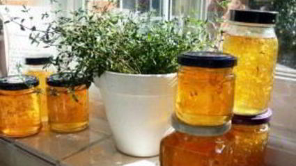 варенье из одуванчиков и ревеня