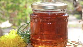 Варенье из одуванчиков в хлебопечке