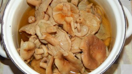 волнушки соленые на зиму