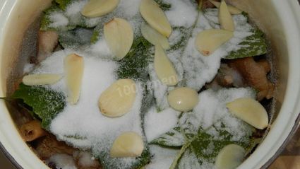 волнушки соленые на зиму